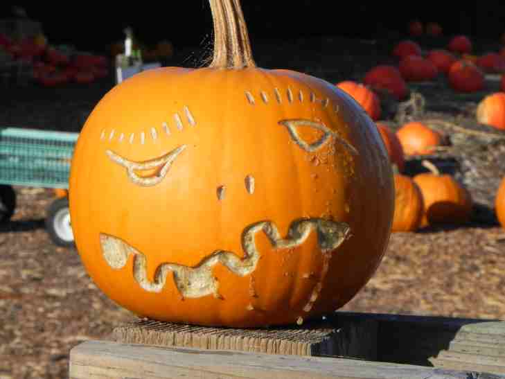 Angry, Nipomo Pumpkin Patch, best carving idea